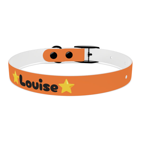 Customizable Orange Fun Collar