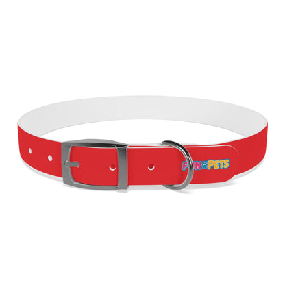 🤩 Customizable Red Fun Collar 🤩