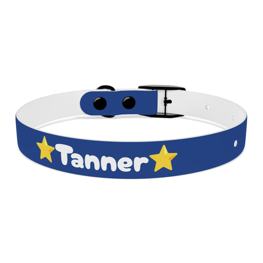 Customizable Blue Fun Collar