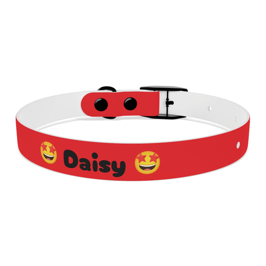 🤩 Customizable Red Fun Collar 🤩